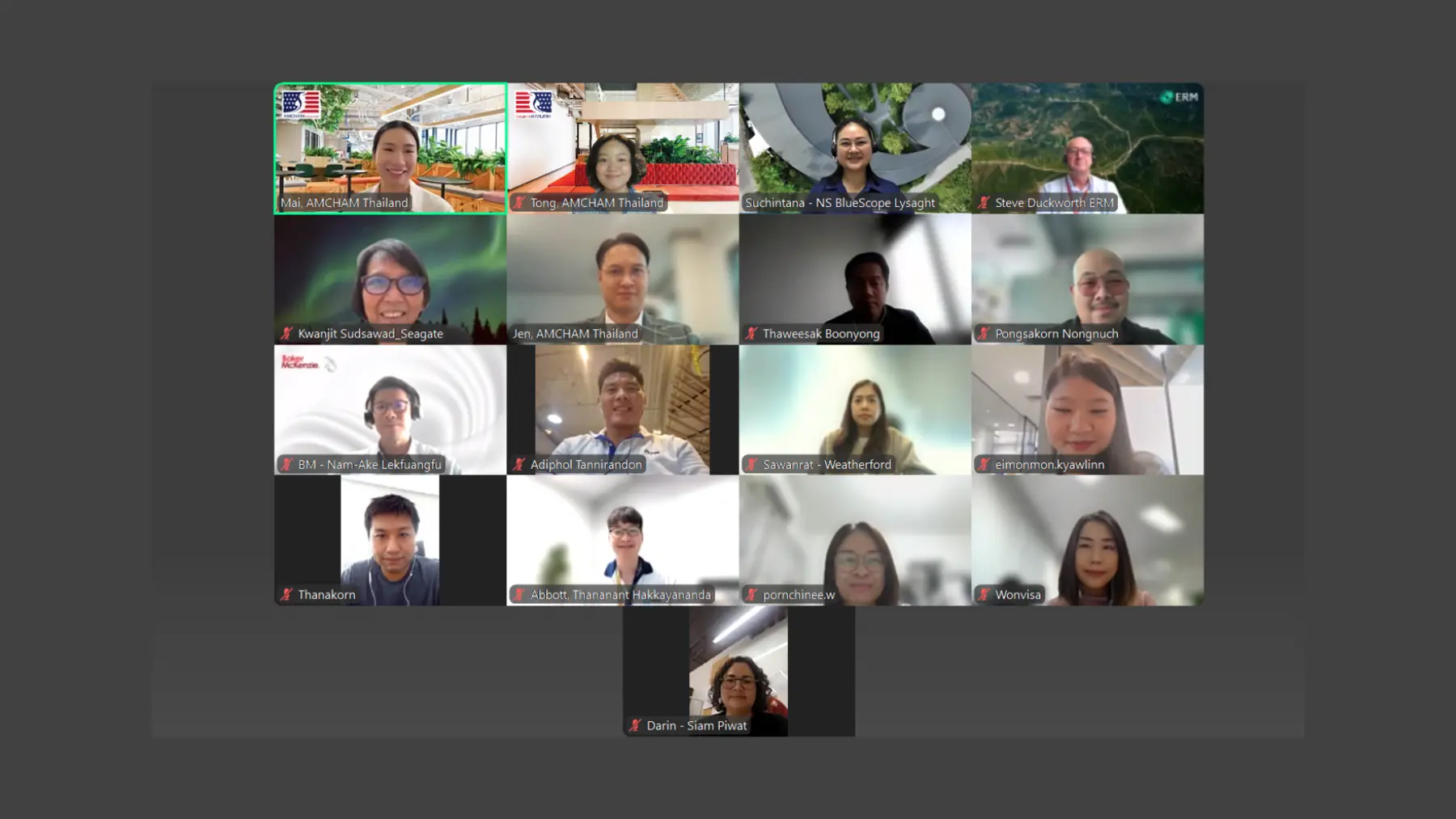 June 2025 Video Conference Financial Mechanism to Promote Sustainable Business Practices (1)