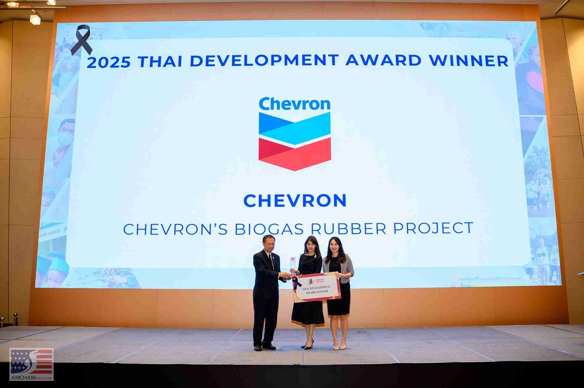 AMCHAM Coporate Impact Awards 2025 (1)